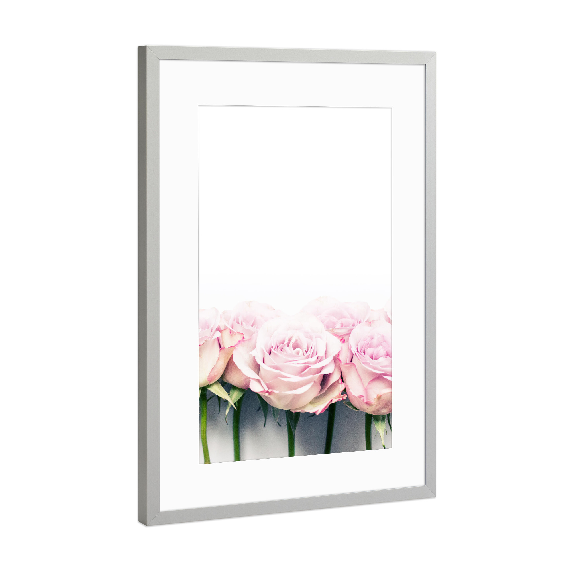 Poster mit Rahmen Silber "Rosarote Rosen" artboxONE - Natur,Floral,Liebe
