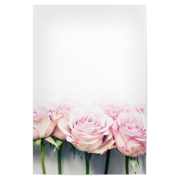 Poster "Rosarote Rosen" artboxONE - Natur,Floral,Liebe - Pinke rosen,Blumen,Blumen fotografie,Feminin,Rosen,Flowers,Pink,Love,Liebe,Roses,Floral