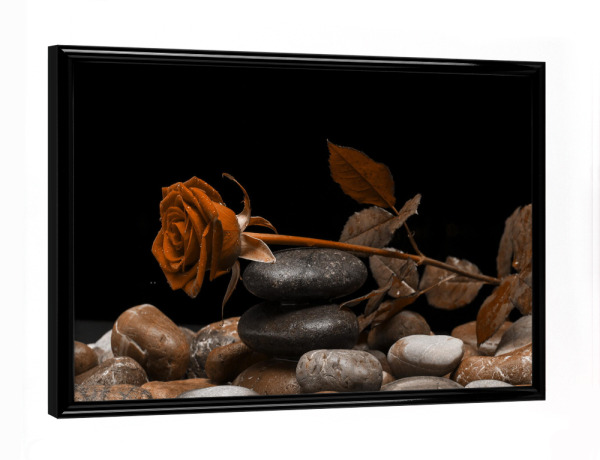 Poster mit schwarzem Rahmen "Rose orange" artboxONE - Natur,Floral,Abstrakt