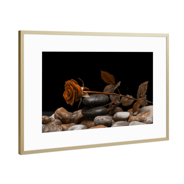 Poster mit Rahmen Gold "Rose orange" artboxONE - Natur,Floral,Abstrakt