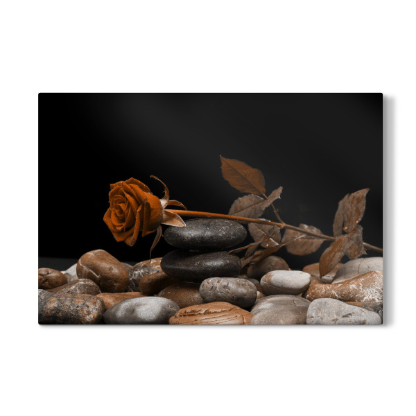 Galerie-Print "Rose orange" 30x20 cm artboxONE