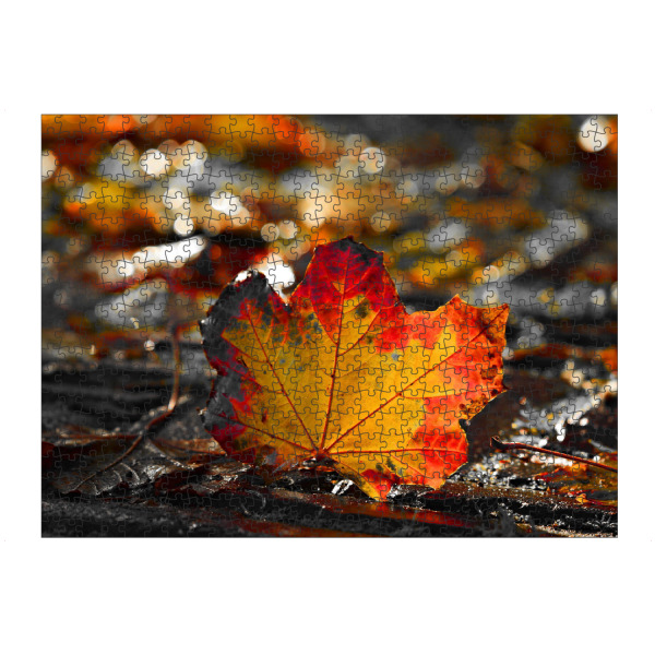 artboxONE Puzzle "Ahornblatt" artboxONE - Natur,Floral - Ahornblatt,Blatt,Colorkey,Herbst,Autumn,Nature,Natur,Leaf,Leaves,Blätter,Colorful