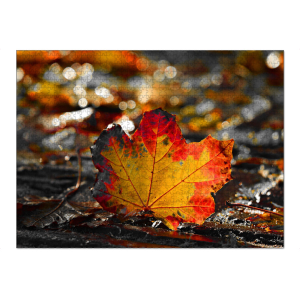 Puzzle Ravensburger "Ahornblatt" artboxONE - Natur,Floral - Ahornblatt,Blatt,Colorkey,Herbst,Autumn,Nature,Natur,Leaf,Leaves,Blätter,Colorful