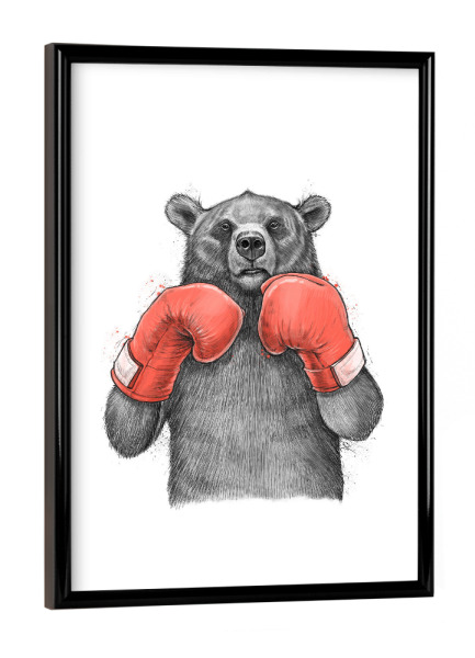 Poster mit schwarzem Rahmen "Bear Boxer" artboxONE - Tiere,Schwarzweiß,Sport