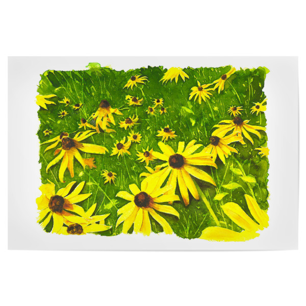 Poster 30x20 cm "Coneflower" artboxONE - Natur,Floral