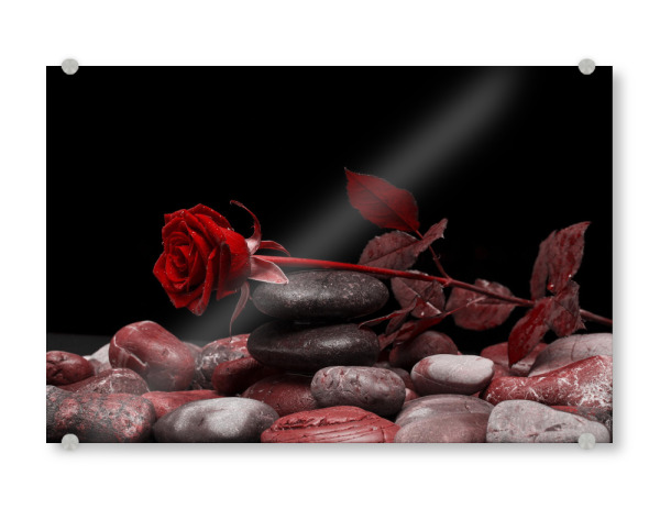 Acrylglasbild "Rose Valentines rot" artboxONE - Natur,Floral,Abstrakt