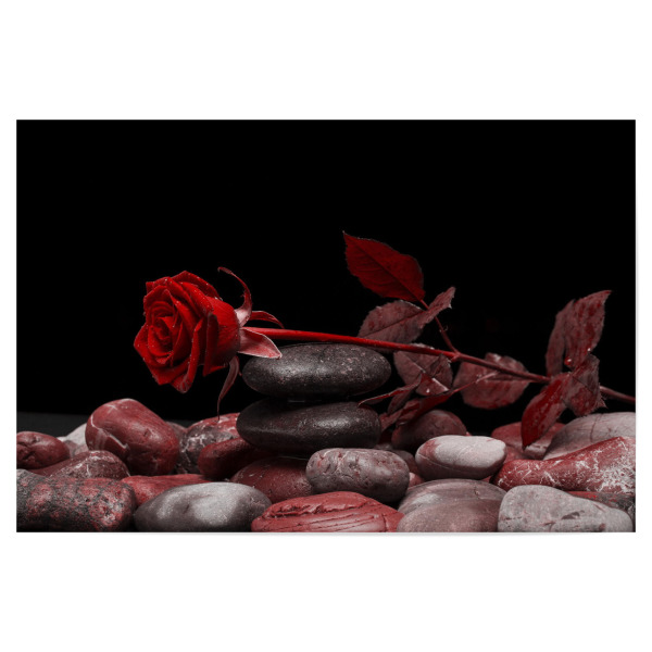 Poster "Rose Valentines rot" artboxONE - Natur,Floral,Abstrakt