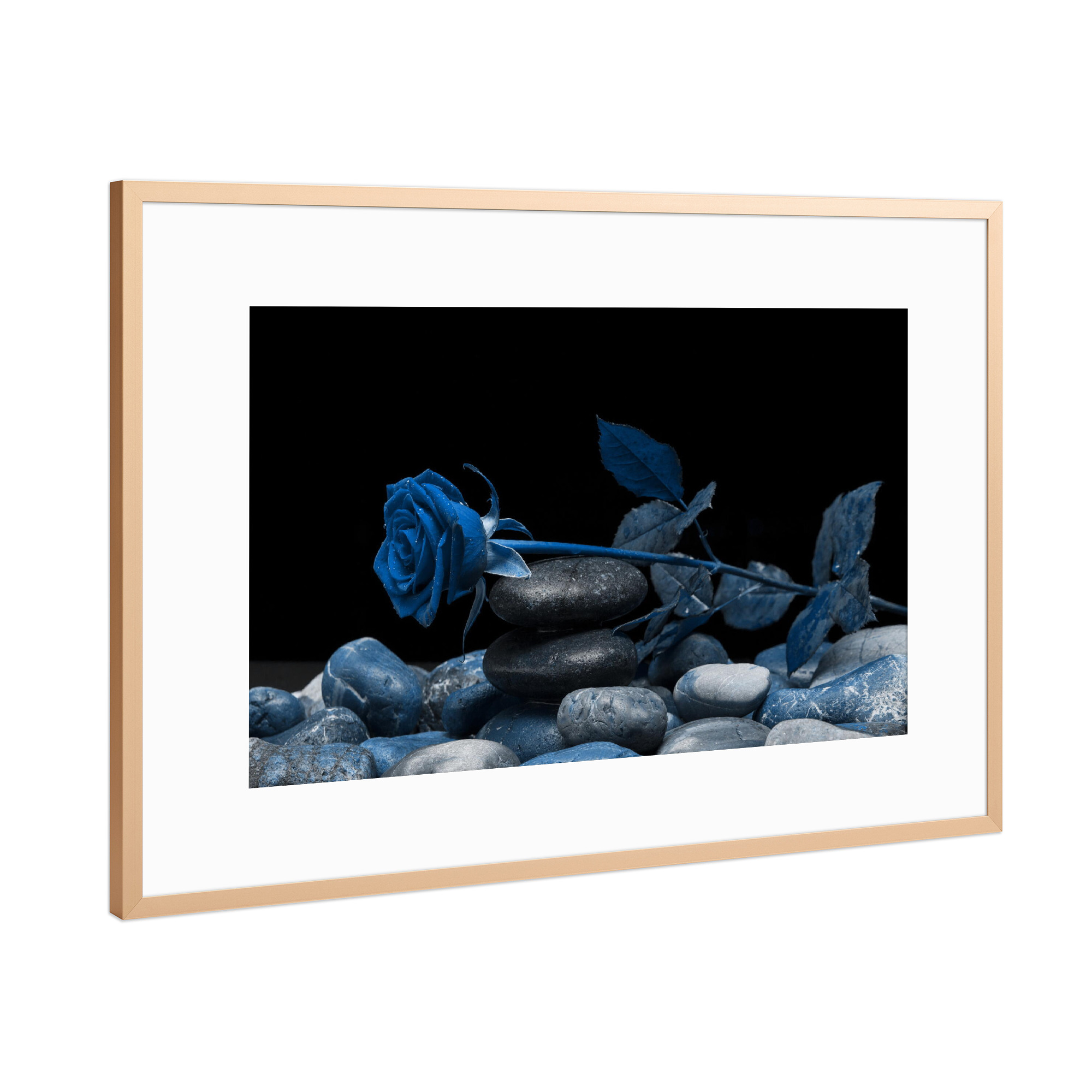 Poster mit Rahmen Kupfer "Rose klassik blau" artboxONE - Natur,Floral,Abstrakt