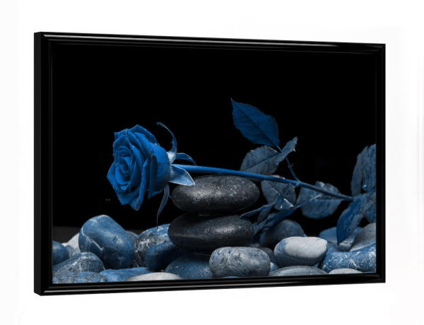 Poster mit schwarzem Rahmen "Rose klassik blau" artboxONE - Natur,Floral,Abstrakt