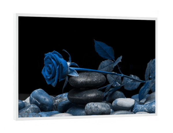 Poster mit weißem Rahmen "Rose klassik blau" artboxONE - Natur,Floral,Abstrakt