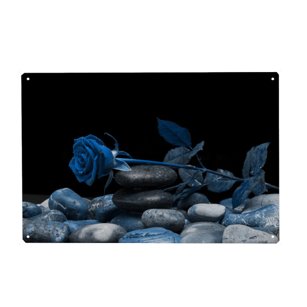 Metall Poster "Rose klassik blau" artboxONE - Natur,Floral,Abstrakt