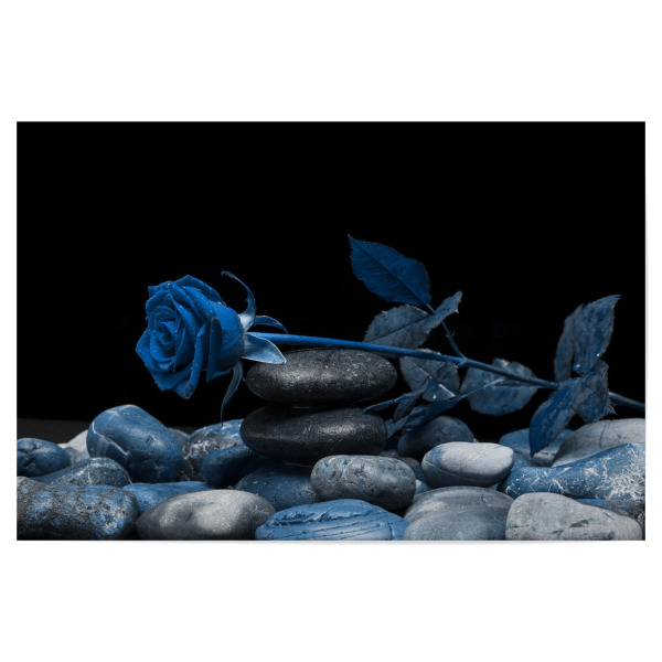 Poster "Rose klassik blau" artboxONE - Natur,Floral,Abstrakt