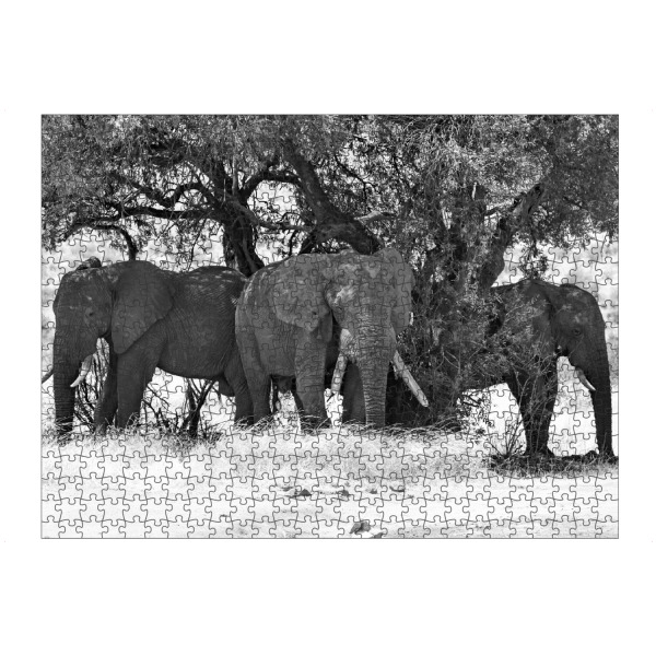 Puzzle Ravensburger "Elefanten Mittagspause" artboxONE - Natur,Tiere,Schwarzweiß,Reise / Afrika
