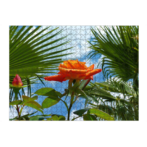 artboxONE Puzzle "Ferien Rose" artboxONE - Natur,Floral