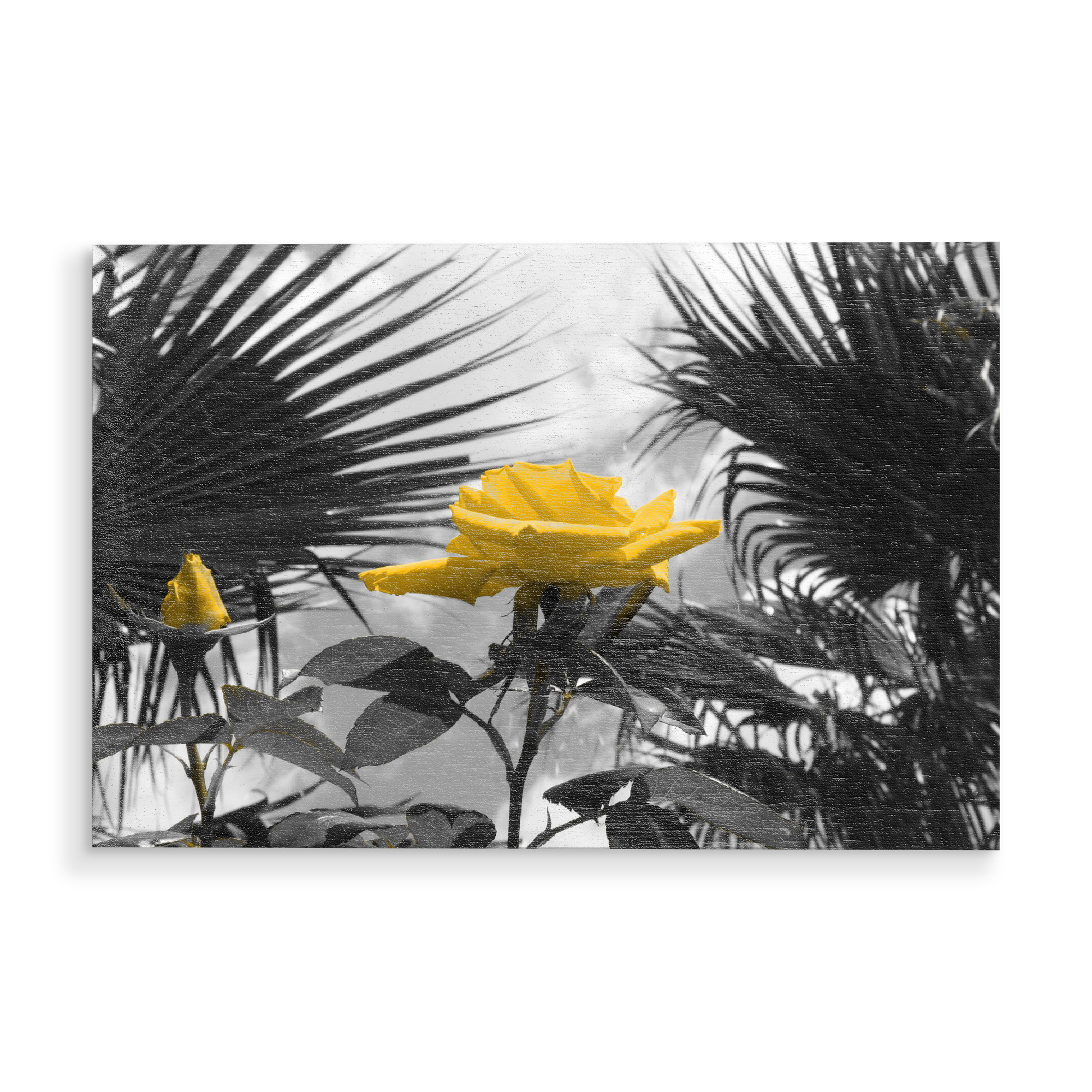 Holzbild "Ferien Rose gelb ck" artboxONE - Natur,Floral - Ferien,Rose,Colorkey,Palmen,Liebe,Love,Floral,Blumen,Rosen,Flowers,Nature,Natur