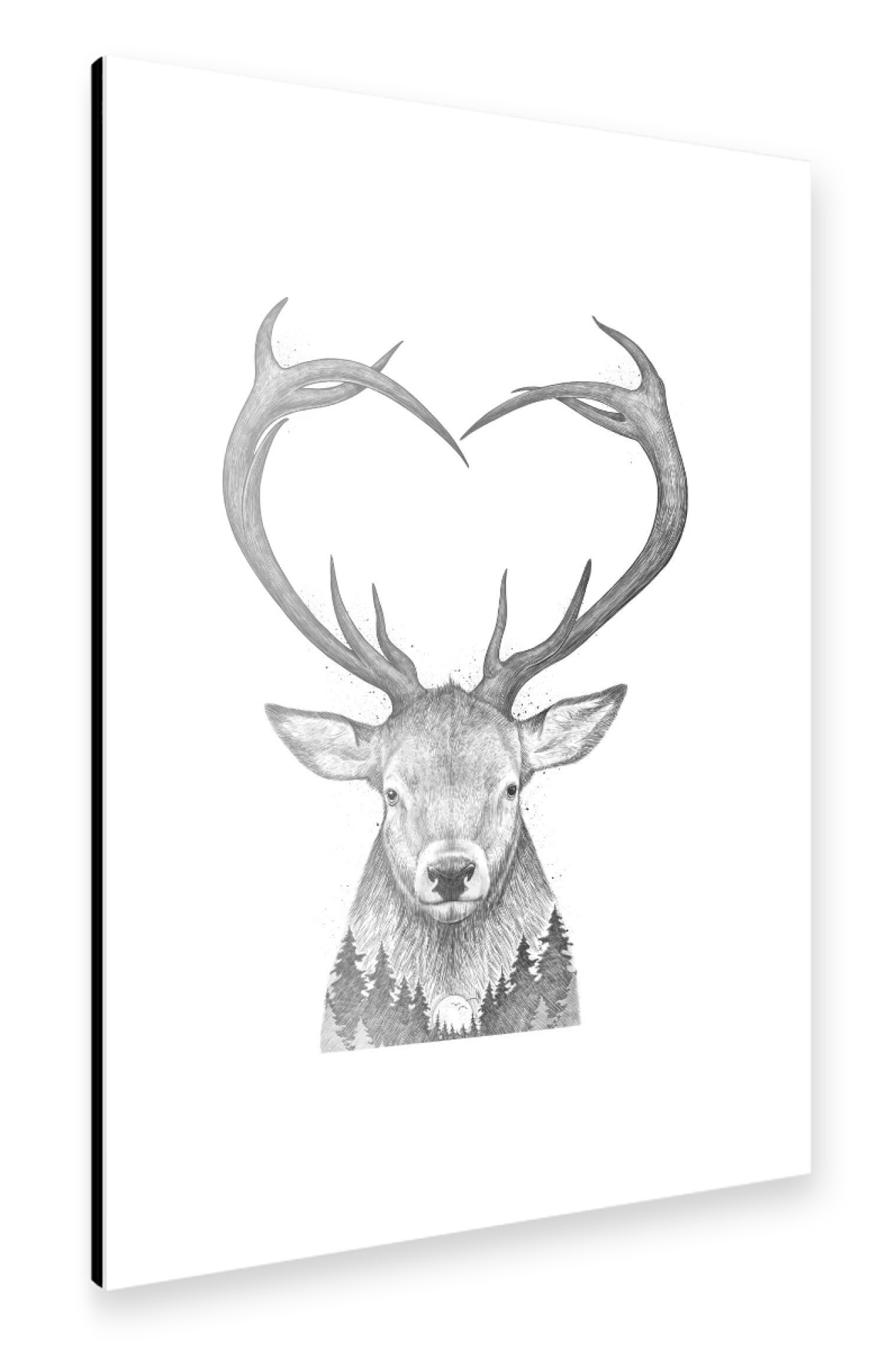 Alu-Dibond "Deer with heart" 75x50 cm artboxONE