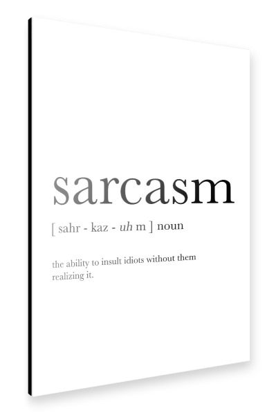 Alu-Dibond "Sarcasm Definition" 30x20 cm artboxONE