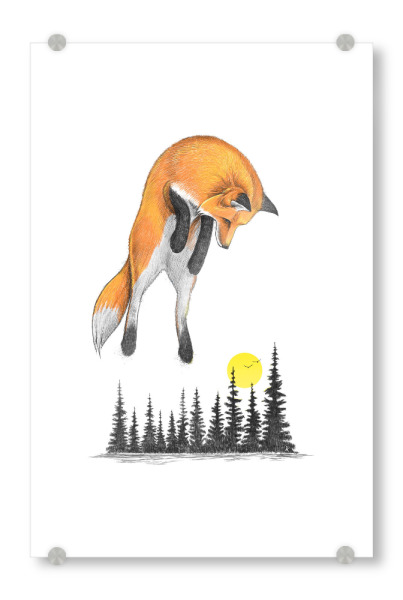 Acrylglasbild "Fox on the hunt" artboxONE - Natur,Tiere - Fox,Foxy,Animal,Hunter,Hunting,Nature,Forest,Trees,Sun,Sunset,Wild,Wildlife,Tier,Fuchs,Wald