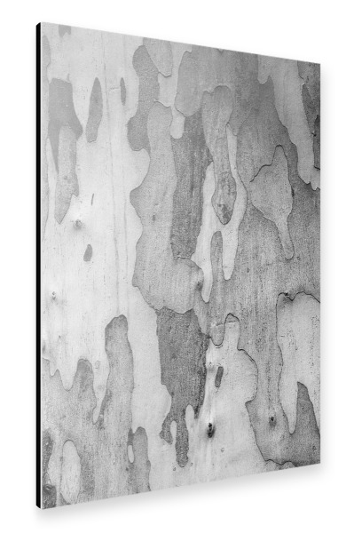 Alu-Dibond "Baumrinde Muster schwarzweiss" 30x20 cm artboxONE