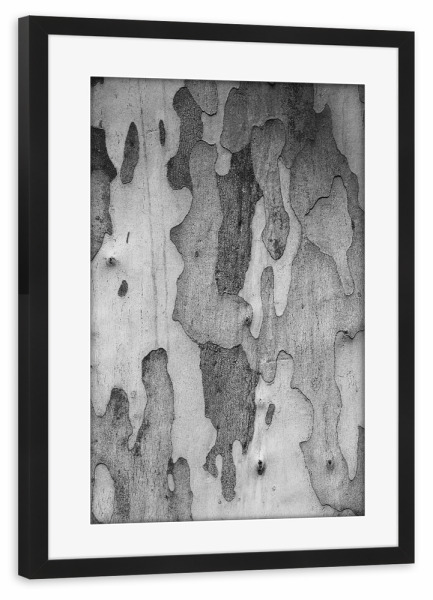 Poster mit Rahmen schwarz "Baumrinde Muster schwarzweiss" artboxONE - Natur,Abstrakt,Schwarzweiß,Reise / Afrika