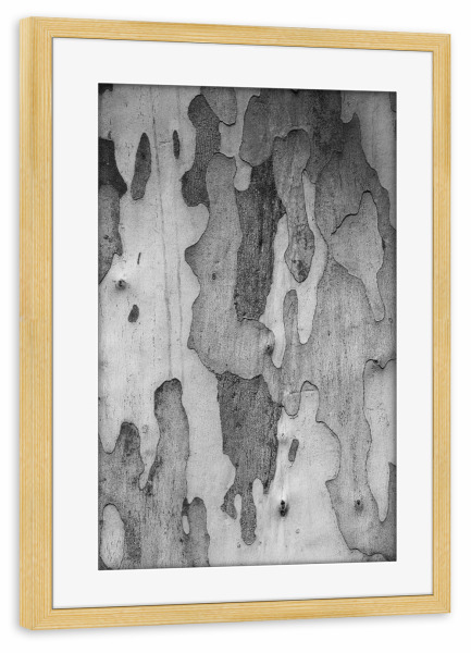 Poster mit Rahmen kiefer "Baumrinde Muster schwarzweiss" artboxONE - Natur,Abstrakt,Schwarzweiß,Reise / Afrika