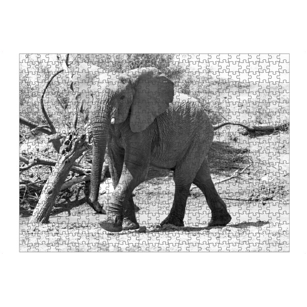 Puzzle Ravensburger "Junger Elefantenbulle eilt herbei" artboxONE - Natur,Tiere,Schwarzweiß,Reise / Afrika
