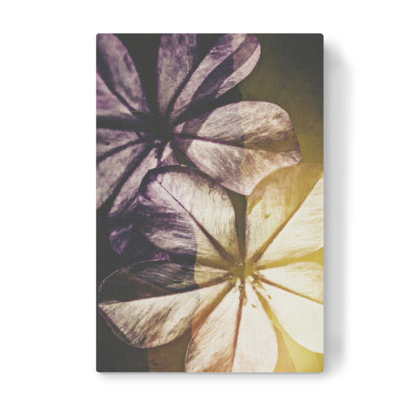 Leinwandbild "Blooming spring" artboxONE - Natur,Floral