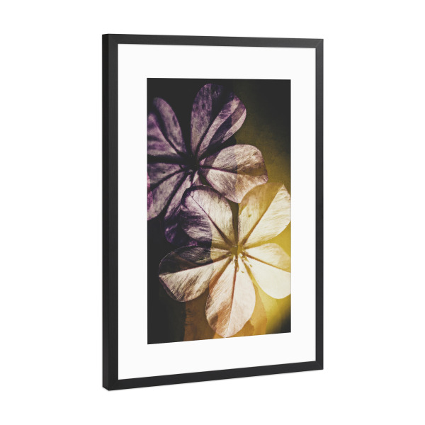 Poster mit Rahmen Schwarz (Metallic) "Blooming spring" artboxONE - Natur,Floral