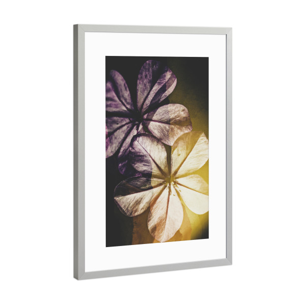 Poster mit Rahmen Silber "Blooming spring" artboxONE - Natur,Floral