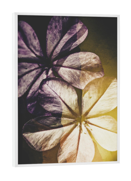 Poster mit weißem Rahmen "Blooming spring" artboxONE - Natur,Floral
