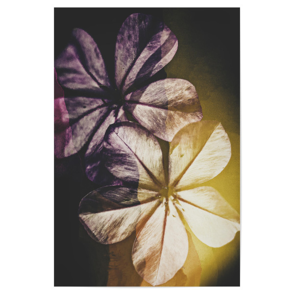 Poster 30x20 cm "Blooming spring" artboxONE - Natur,Floral