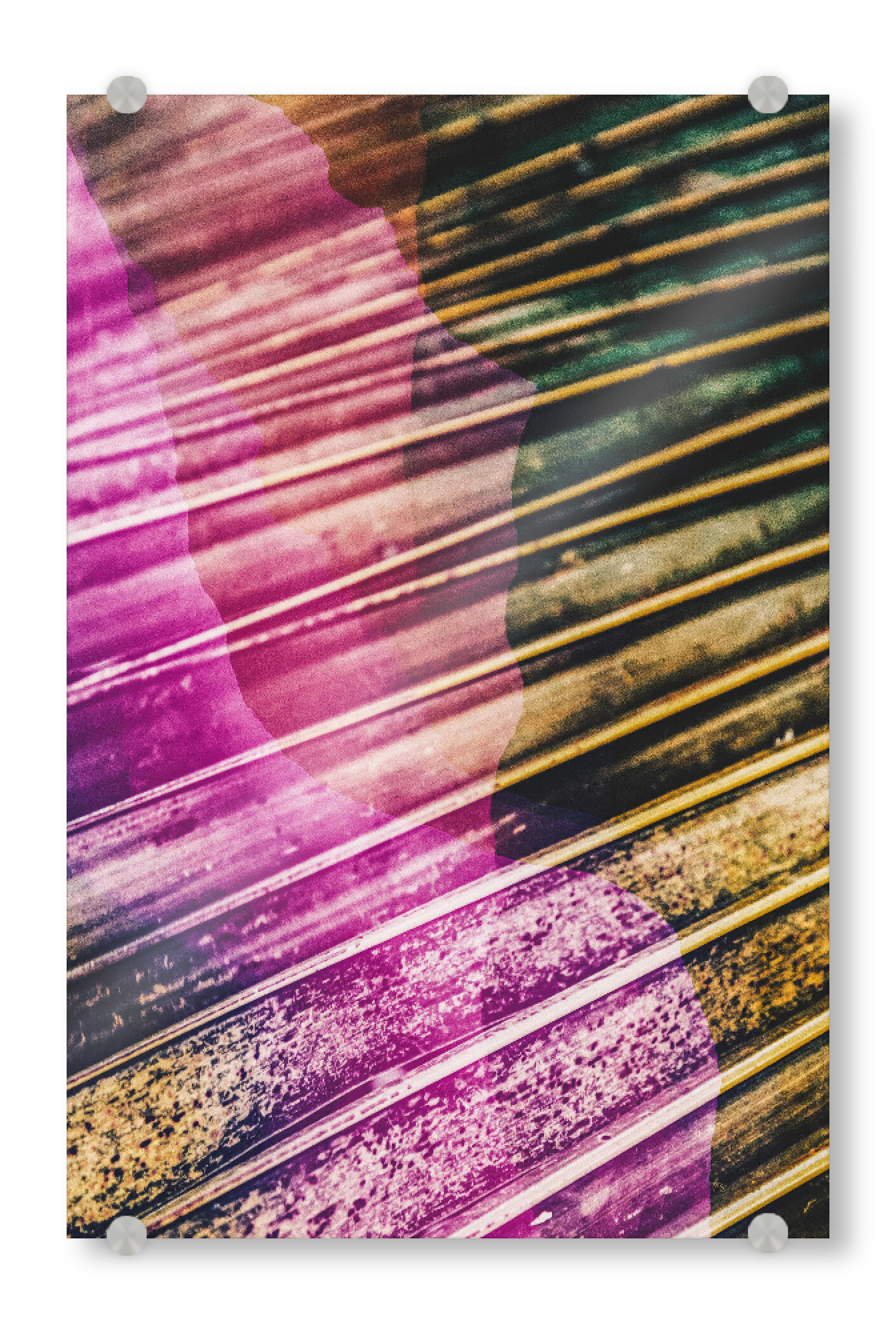 Acrylglasbild "Abstract duet" artboxONE - Natur,Floral,Abstrakt