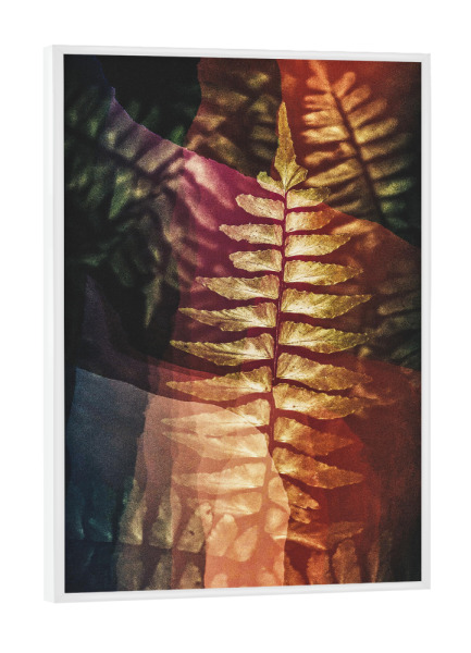Poster mit weißem Rahmen "Floral Duet" artboxONE - Natur,Floral