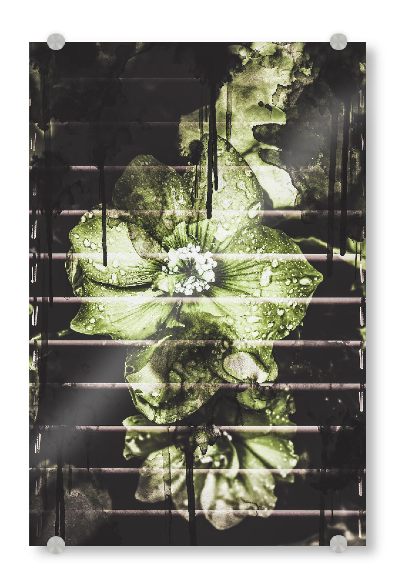 Acrylglasbild "Flowers in the light" artboxONE - Natur,Floral,Geometrie