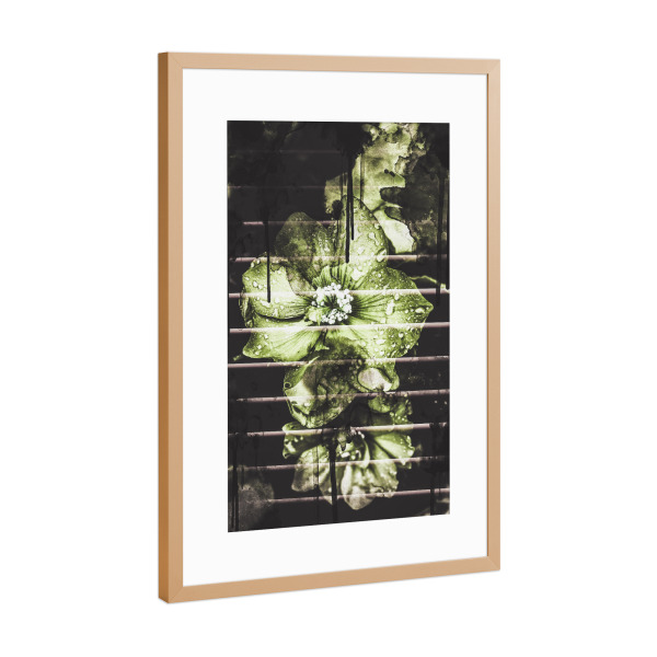 Poster mit Rahmen Kupfer "Flowers in the light" artboxONE - Natur,Floral,Geometrie