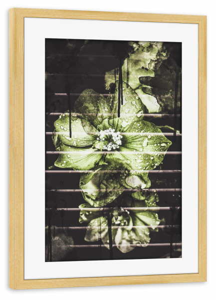Poster mit Rahmen kiefer "Flowers in the light" artboxONE - Natur,Floral,Geometrie