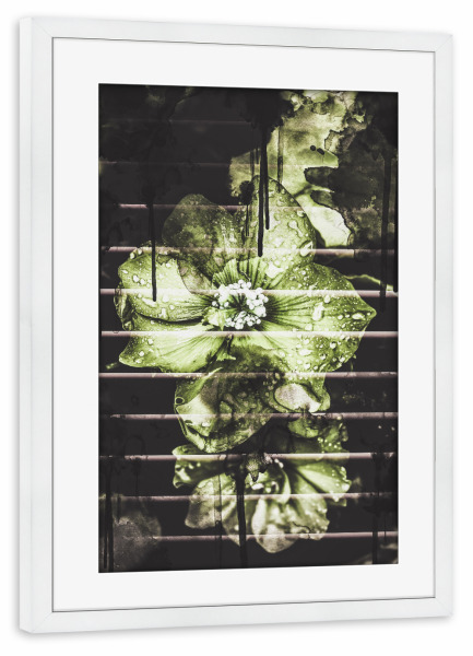 Poster mit Rahmen weiß "Flowers in the light" artboxONE - Natur,Floral,Geometrie