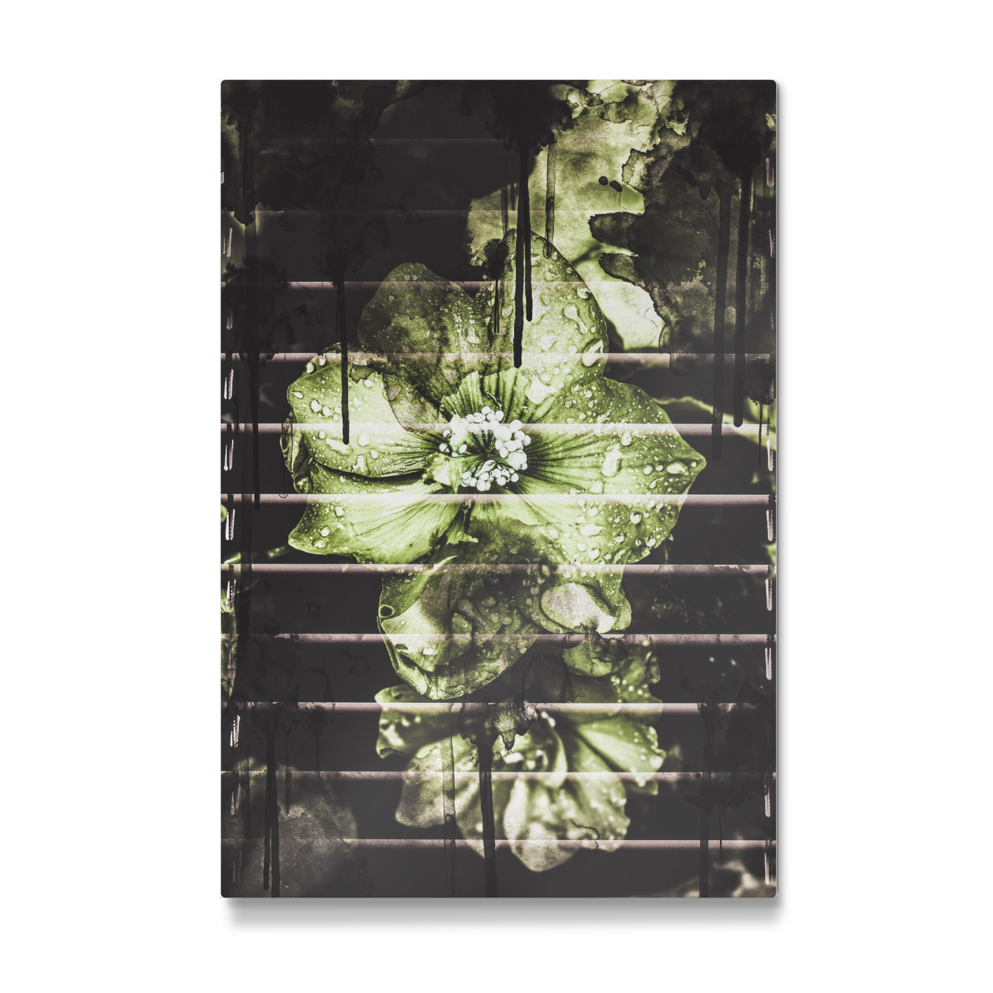 Galerie-Print "Flowers in the light" 75x50 cm artboxONE