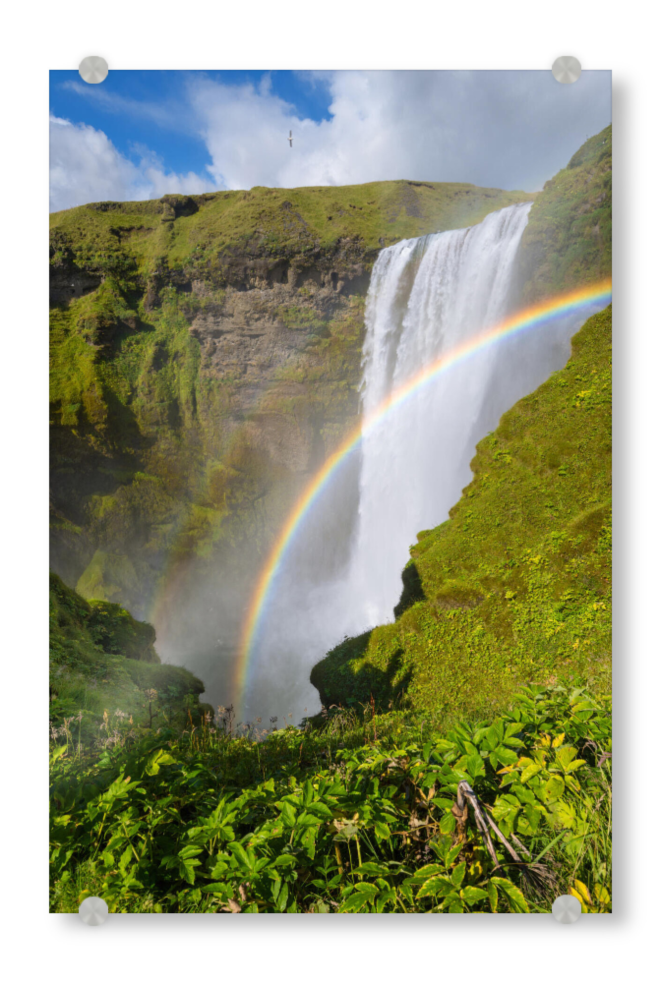 Acrylglasbild "Paradise Falls" artboxONE - Natur,Reise,Tiere
