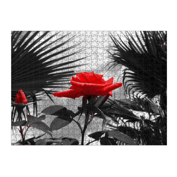 Puzzle Ravensburger "Ferien Rose rot ck" artboxONE - Natur,Floral,Abstrakt