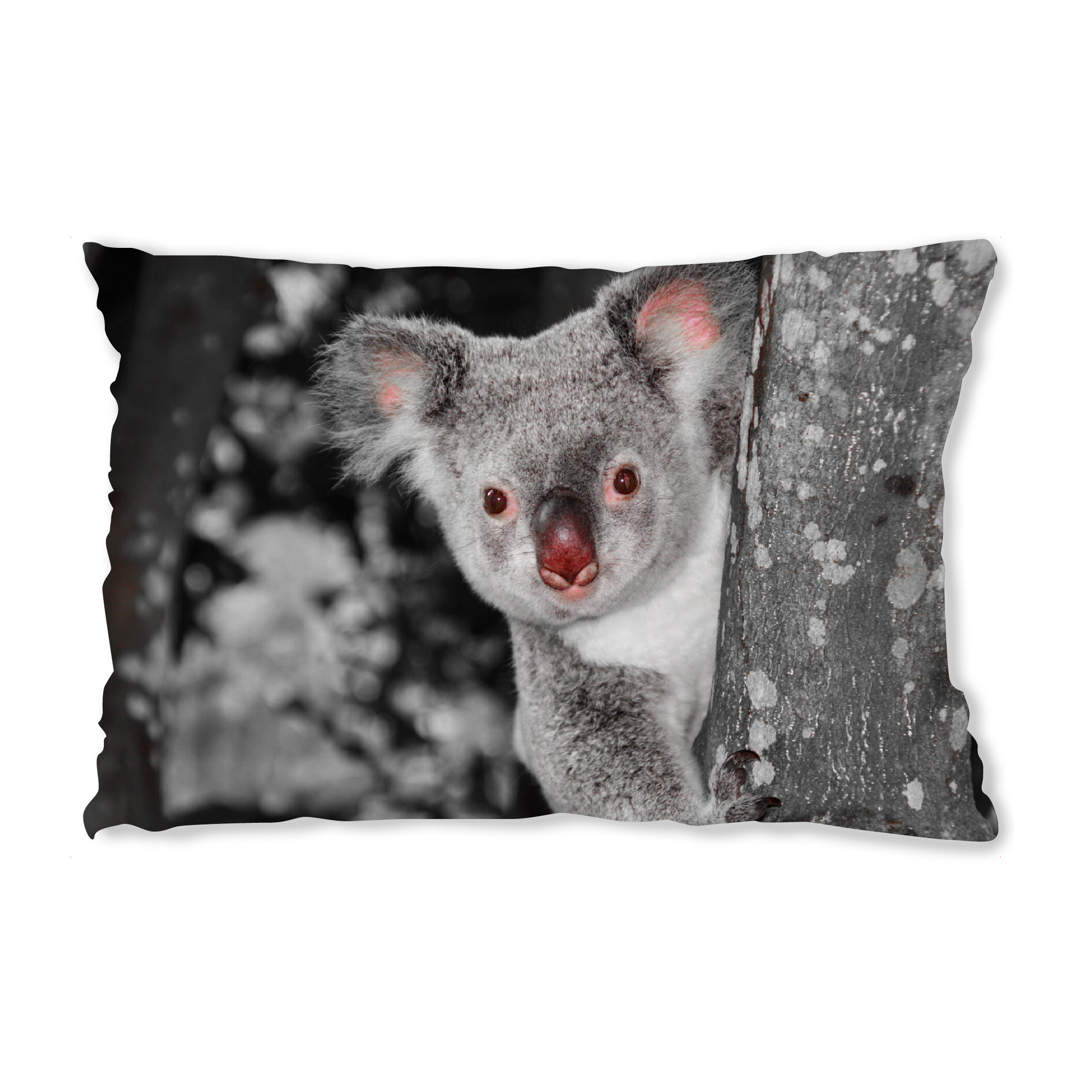 Design-Kissen "Koala Bär auf Baum ck" artboxONE - Natur,Tiere - Bär,Kualabär,Colorkey,Koala,Tier,Animal,Nature,Natur,Wild,Bear,Cute,Lustig,Baum
