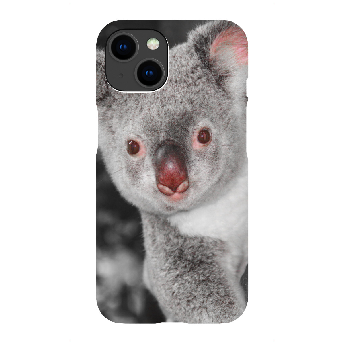 iPhone "Koala Bär auf Baum ck" Premium-Case Handyhülle artboxONE