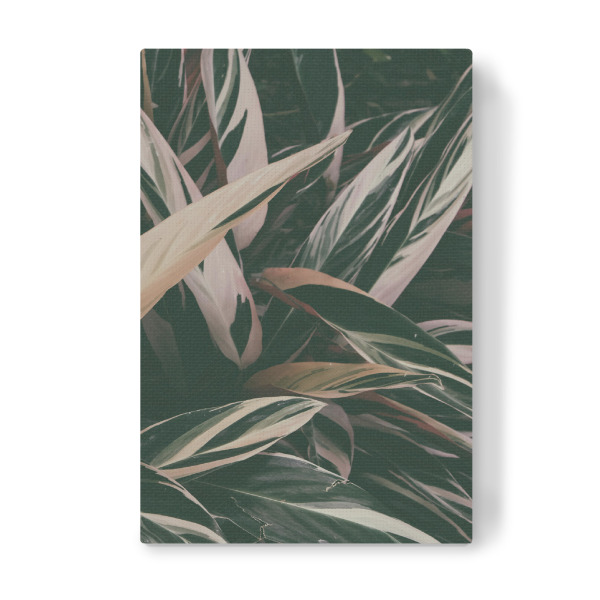 Leinwandbild "Calathea Leaves" artboxONE - Natur,Floral - Photography,Leaves,Leaf,Calathea,Plant,Garden,Landscaping,Colors,Blätter,Floral,Nature,Natur
