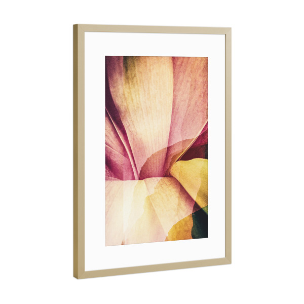 Poster mit Rahmen Gold "Floral close up" artboxONE - Natur,Floral