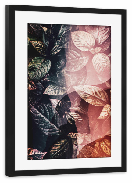 Poster mit Rahmen schwarz "Leaves in the light" artboxONE - Natur,Floral
