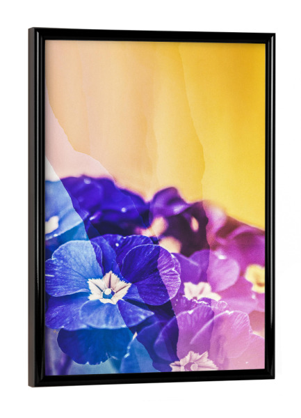 Poster mit schwarzem Rahmen "Spring blooming" artboxONE - Natur,Floral