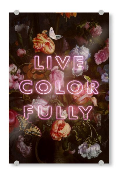 Acrylglasbild "LIVE COLORFULLY" artboxONE - Typografie,Floral