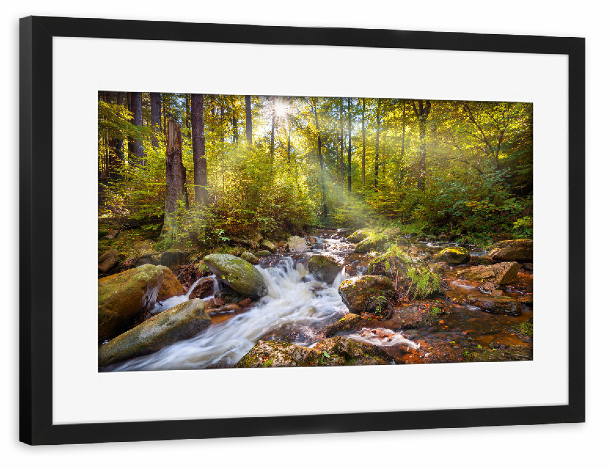 Poster mit Rahmen schwarz "Spirit Garden" artboxONE - Natur