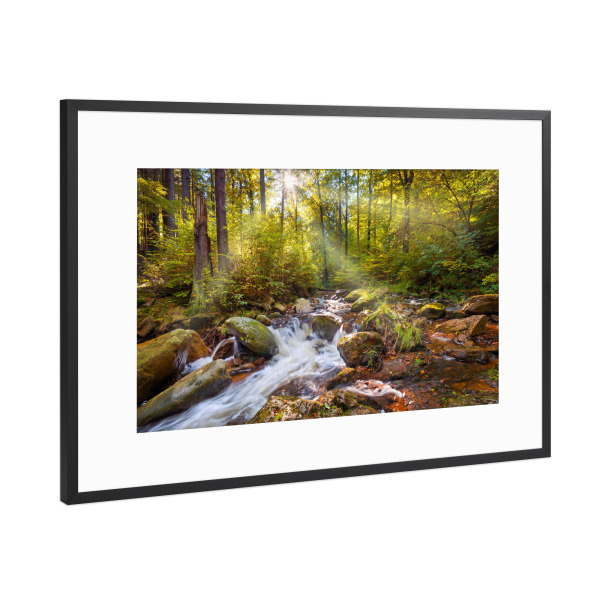 Poster mit Rahmen Schwarz (Metallic) "Spirit Garden" artboxONE - Natur