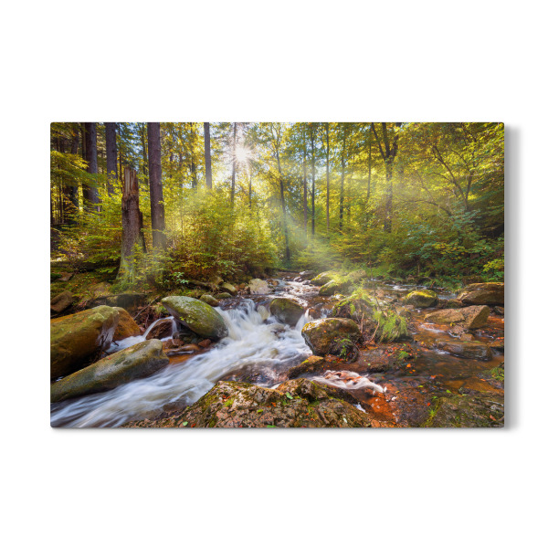 Galerie-Print "Spirit Garden" 30x20 cm artboxONE